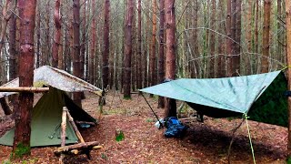 Lavvu and tarp camping  English woodland [upl. by Elehcar]