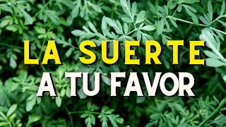 ¿Cómo puedo hacerme Baños con Hierbas para poner la Suerte a mi Favor [upl. by Welcher]