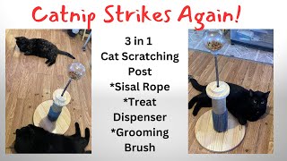 Cat Scratching Post 3 in 1 Sisal Rope Cat Scratcher with Cat Feeder Toy and Grooming Brush [upl. by Nelan]