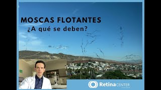 Causas de Moscas Flotantes en la Visión  Oftalmólogo Tijuana  Especialistas en Retina [upl. by Areit857]