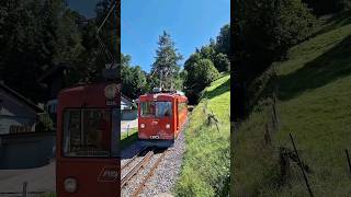 APPENZELLER BAHNEN Zug der Zahnradbahn RheineckWalzenhausen treno a cremagliera train tren [upl. by Janaya]