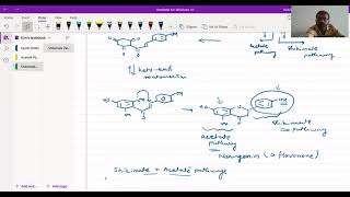 Flavonoids And Isoflavonoids  Biosynthesis  Kirti Patel [upl. by Leonardo]