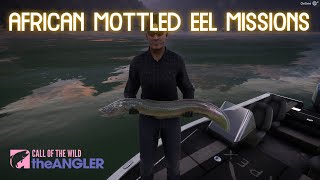 African mottled eel missions [upl. by Aisats]