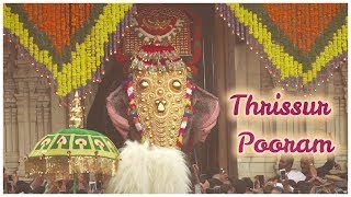 Thrissur Pooram 2019  A Divine Extravaganza of Paramekkavu and Thiruvambadi [upl. by Eelsha]