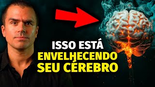 10 fatores que estão ENVELHECENDO SEU CÉREBRO [upl. by Htebaras856]