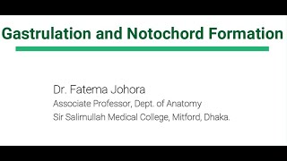 Gastrulation amp Notochord Formation Explained with attractive images by Dr Fatema Johora [upl. by Angela]