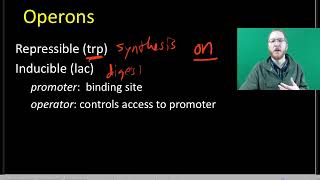 AP Bio Gene Expression  Part 1 [upl. by Topper]