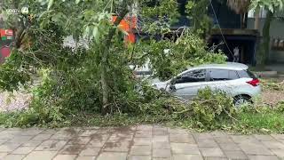 Un temporal deja un muerto y a 600000 personas sin electricidad al sur de Brasil [upl. by Hay537]