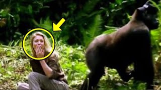 What This Gorilla Did to a Tourist in the Jungle Shocked the Whole World [upl. by Lrub]