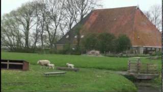 Friesland Holland Farm Visit [upl. by Enyamrahc]