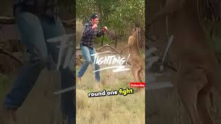 A man saved his pet from being attacked by a kangaroo story scarystories stories [upl. by Ita]