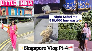 Best Public Transport in Singapore🇸🇬Little India😍 Night safari worth ₹10000😥 singaporevlog [upl. by Elspeth]