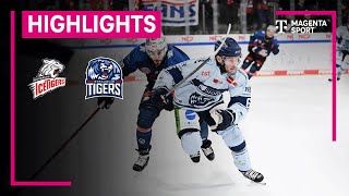 Nürnberg Ice Tigers  Straubing Tigers  PENNY DEL  MAGENTA SPORT [upl. by Irtimed]