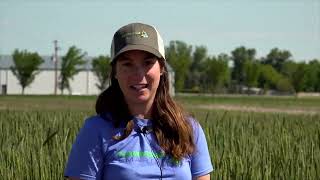 Conservation Agronomy in Your Field  24 Plot Shot 08 [upl. by Sesom]