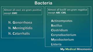 Gram Positive amp Negative Bacteria  My Medical Mnemonics [upl. by Adeline]