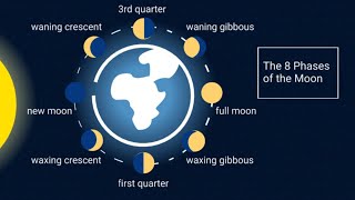 Learn the 8 Phases of the Moon [upl. by Nnainot]