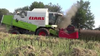 Claas Lexion 430 mit GeringhoffSchneidwerk  Lohndreschen Fa Wutz [upl. by Michelle103]