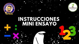 Instrucciones Mini ensayo [upl. by Amron]