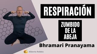 Respiración de la Abeja 🐝 Bhramari Pranayama [upl. by Poree327]