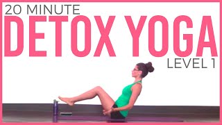 20 minute Yoga for Detox and Digestion Level 1 [upl. by Ahsahs]