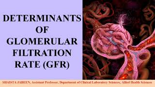 Determinants of GFR  Pressure determinants of Glomerular Filtration Rate  Renal Physiology [upl. by Weingarten]