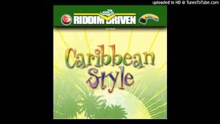 Dj Shakka  Caribbean Style Riddim Mix  2003 [upl. by Aramanta]