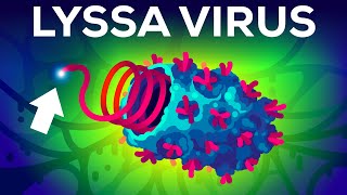 The Deadliest Virus on Earth [upl. by Eruza]