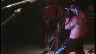 Red Hot Chili Peppers  Higher Ground  LIVE 1990 [upl. by Sandell]