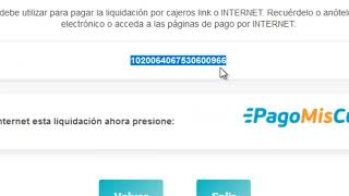 Cómo adherir Arba Automotor a la agenda de pagos de Home Banking de Banco Provincia de Buenos Aires [upl. by Mackie830]