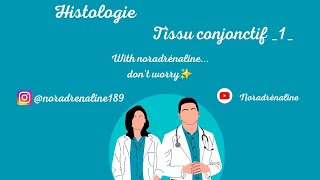 tissu conjonctif proprement dit 1 histologie 1ère année medecine et medecine dentaire [upl. by Anirehs]