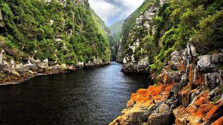 Inside The Most Beautiful Place On Garden Route Tsitsikamma National Park South Africa [upl. by Dupuy]