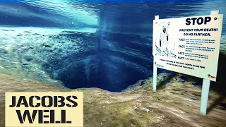 The WORST Discovery in Jacobs Well for 21 Years [upl. by Solly893]