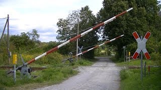 Spoorwegovergang Nienburg D  Railroad crossing  Bahnübergang [upl. by Jonis672]