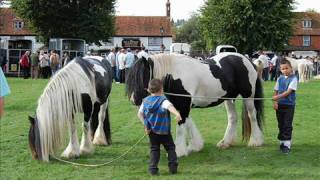 Gypsy cob horses Horsemonden Fair 2008 [upl. by Elleral]