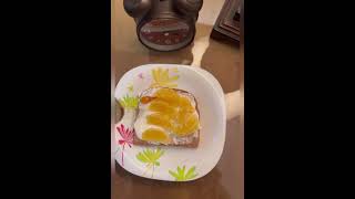 Marmalade Sandwich Recipe  🍊 [upl. by Creight617]