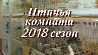 Моя коллекция птиц 251217 Breeding birdroom [upl. by Reggy]