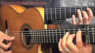 Bulerias sample lesson Advanced Level by Jose Tanaka Flamenco Guitar Lesson「フラメンコギターレッスン」 [upl. by Shue]