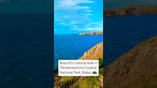 Beautiful coastal walk in pembrokeshire nationalpark wales [upl. by Asselem701]