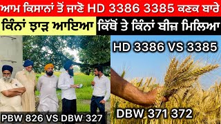 HD 3386  3385 Wheat Varieties … DBW 370  371  PBW 826 VS DBW 327 ਕਿਹੜੀ ਕਿਸਮ ਰਹੀ ਟੌਪ ਤੇ [upl. by Trace822]