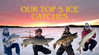 Our Top 5 Ice Fishing Catches [upl. by Yziar254]