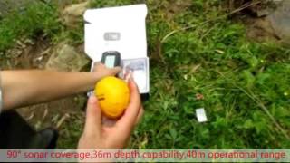 TL66 Dot matrix 40M Wireless Portable Fish Finder [upl. by Arretnahs]