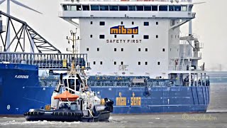 Einlauf Selbstentlader FJORDNES selfdischarging bulk carrier amp tug amp pilot V2HF8 IMO 9880855 [upl. by Maje]