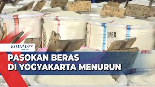 Bansos Sebabkan Pasokan Beras di Yogyakarta Menurun [upl. by Gorlicki537]