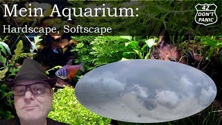 Hardscape Softscape  Mein Aquarium 7 [upl. by Ahseiuqal]