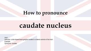 How to pronounce caudate nucleus  meaning [upl. by Claudie]