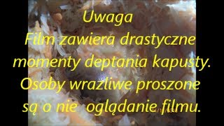 Kapusta kiszona jak zrobić na obiad [upl. by Hallvard]