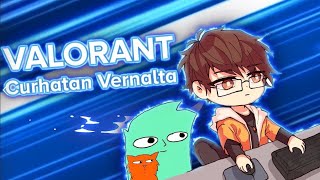 Curhatan Vernalta  「Valorant Indonesia」 ft SentinelPro242 [upl. by Staw136]