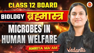 Microbes in Human Welfare One Shot  Class 12 Biology  Amrita Maam [upl. by Kaye66]