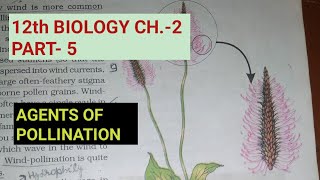 Class 12 biology chapter2 Part5 Agents of pollinationStudy with Farru [upl. by Luedtke689]