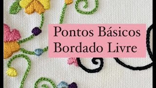 Pontos Basicos de Bordado Livre  Sianinha e Passamanaria [upl. by Anesusa]